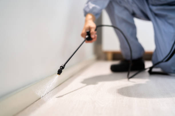Licensed Fumigation Services service in Texas, TX - Nex Pest Control